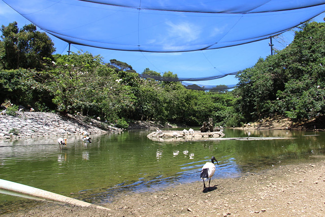 メインハウスから外の景色/ネオパークオキナワ(沖縄県/名護市)