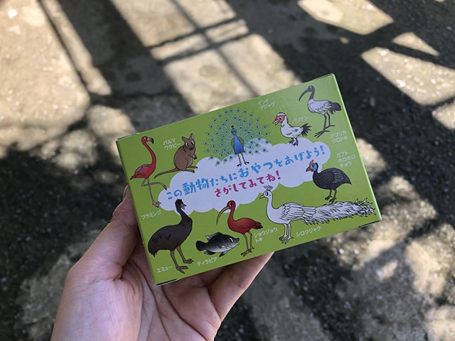 鳥たちのおやつ/ネオパークオキナワ(沖縄県/名護市)