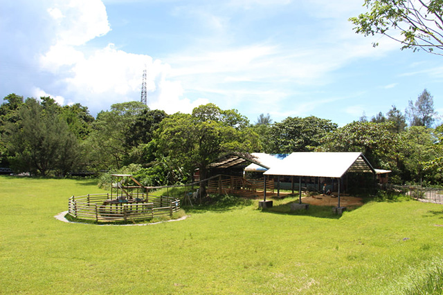 ふれあい広場の全景/ネオパークオキナワ(沖縄県/名護市)