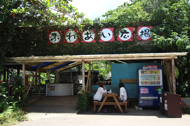 /ネオパークオキナワ(沖縄県/名護市)