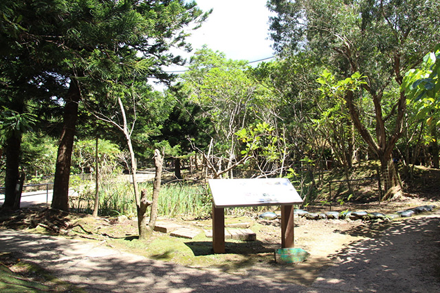 オセアニアゾーン/ネオパークオキナワ(沖縄県/名護市)
