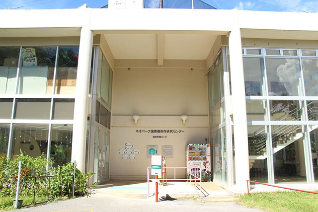 入口/ネオパークオキナワ(沖縄県/名護市)