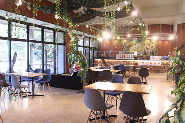 レッサーパンダカフェ・しましましっぽ/ネオパークオキナワ(沖縄県/名護市)