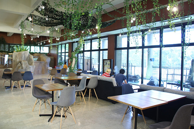 ガラス越しにワオレムールが眺められるカフェ店内/ネオパークオキナワ(沖縄県/名護市)