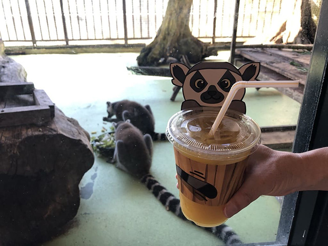 勝山シークヮーサースカッシュ/ネオパークオキナワ(沖縄県/名護市)