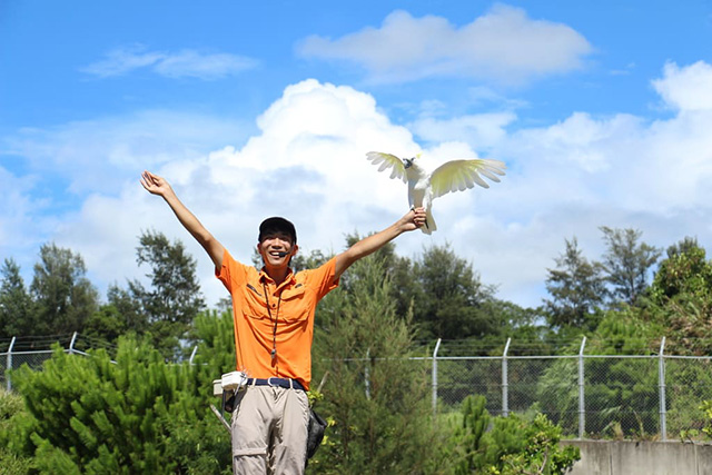 バードパフォーマンスショーの様子/ネオパークオキナワ(沖縄県/名護市)