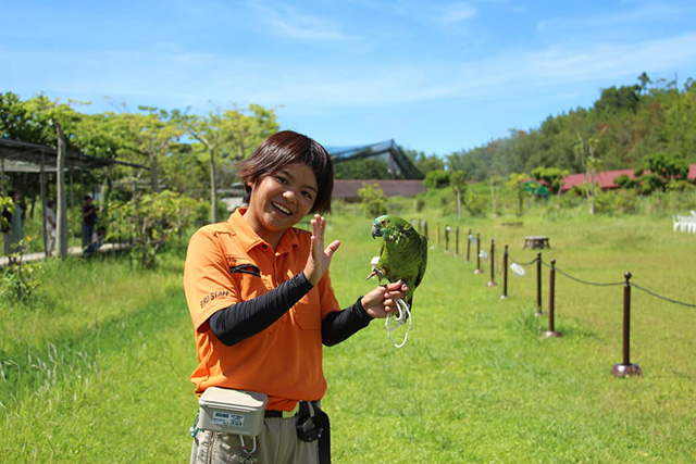 バードパフォーマンスショーの様子/ネオパークオキナワ(沖縄県/名護市)