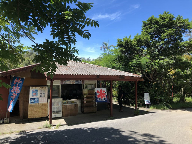 パーラバオバブ/ネオパークオキナワ(沖縄県/名護市)