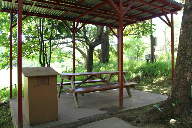 園内の休憩場所/ネオパークオキナワ(沖縄県/名護市)