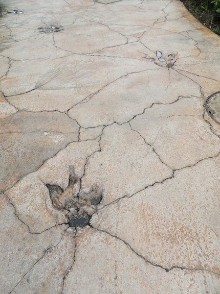 恐竜の足跡が地面に/ユニバーサル・スタジオ・ジャパン(大阪市)