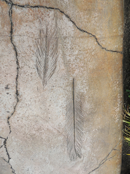 エリアの地面のいたるところに、シダなどジュラ紀の植物の跡が見つけられる/ユニバーサル・スタジオ・ジャパン(大阪市)