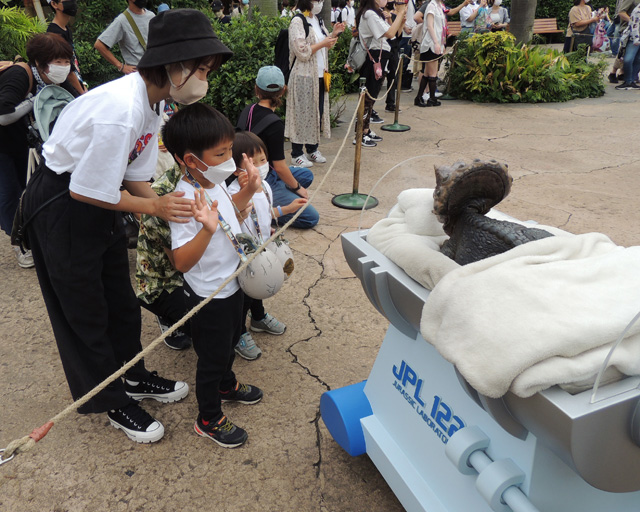 まばたきしたり動いたりする/ユニバーサル・スタジオ・ジャパン(大阪市)
