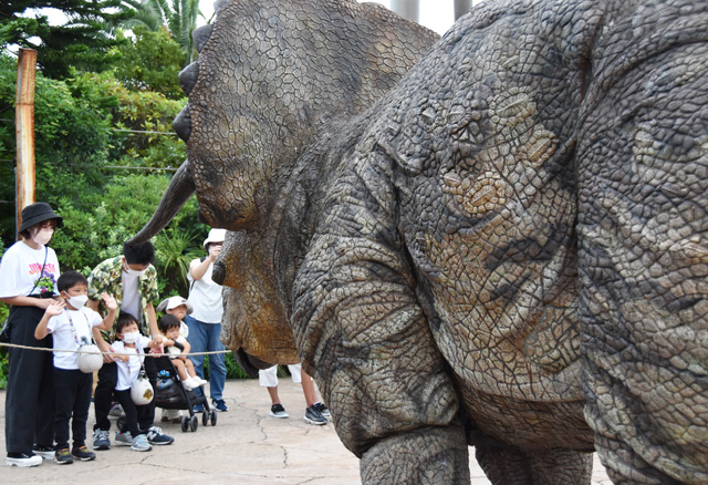 大きなトリケラトプスが目の前に/ユニバーサル・スタジオ・ジャパン(大阪市)