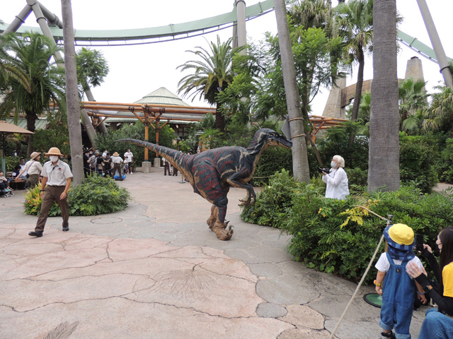 映画でもおなじみのラプトルがやって来る/ユニバーサル・スタジオ・ジャパン(大阪市)