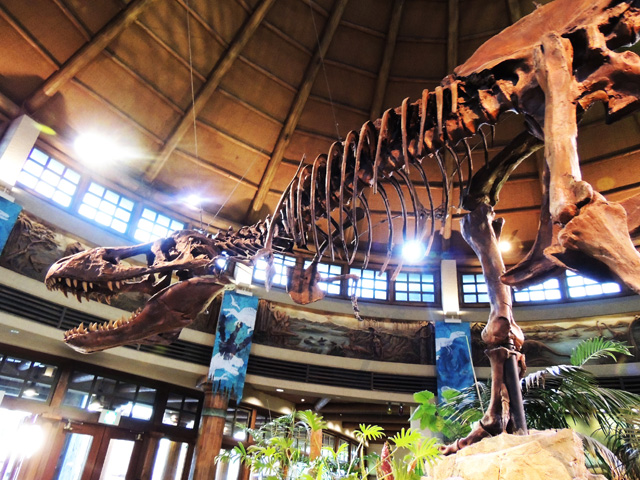 ティラノサウルスの化石(レプリカ)などがある/ユニバーサル・スタジオ・ジャパン(大阪市)