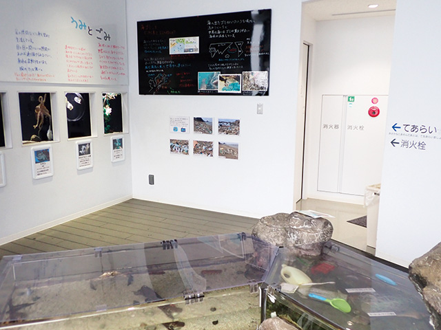 観察プール/鶴岡市立加茂水族館(山形県)