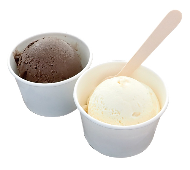 クラゲアイス/鶴岡市立加茂水族館(山形県)