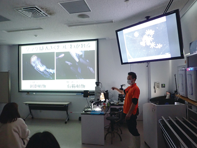 クラゲのおはなし/鶴岡市立加茂水族館(山形県)