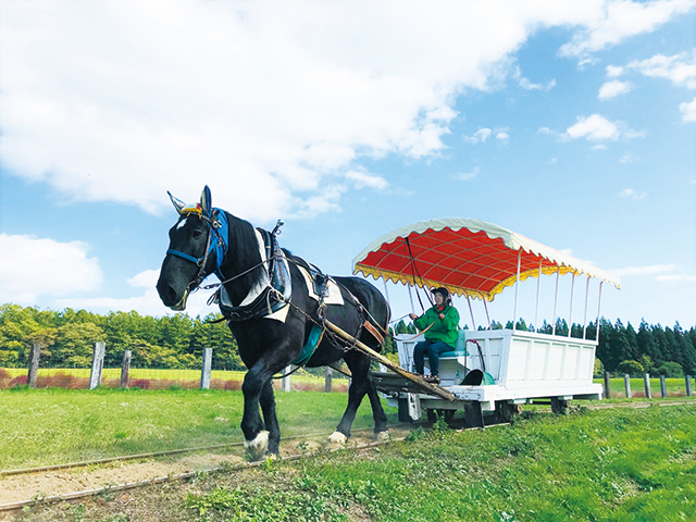トロ馬車/小岩井農場まきば園（岩手県/雫石町）