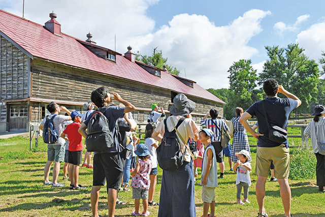 牛たちを見ながら飲む牛乳は絶品/小岩井農場まきば園（岩手県/雫石町）