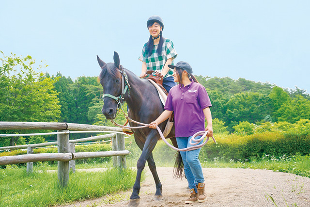 乗馬/小岩井農場まきば園（岩手県/雫石町）