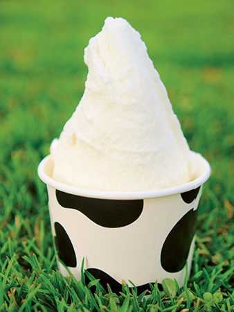 ジェラート/小岩井農場まきば園（岩手県/雫石町）