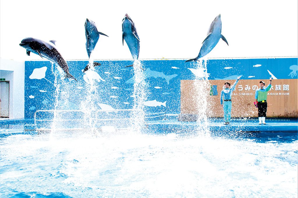 STADIUM LIVE/仙台うみの杜水族館（宮城県/仙台市）