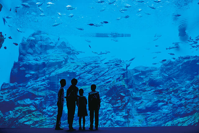 いのちきらめく うみ/仙台うみの杜水族館（宮城県/仙台市）