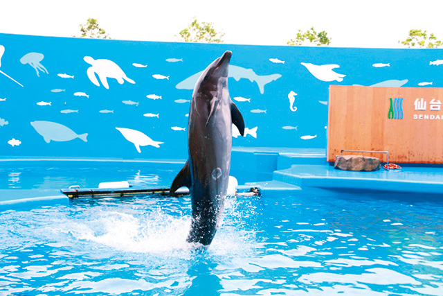 フロントウォーク/仙台うみの杜水族館（宮城県/仙台市）