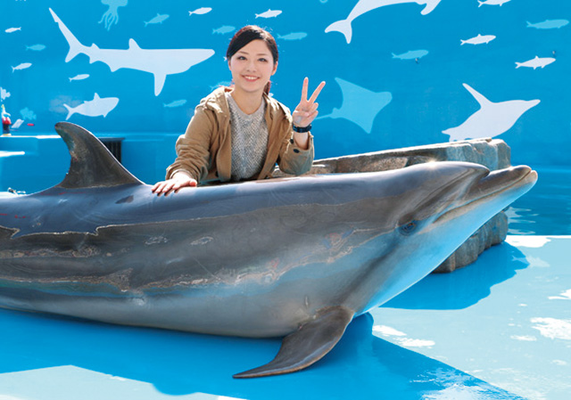 イルカタッチ＆フォト/仙台うみの杜水族館（宮城県/仙台市）