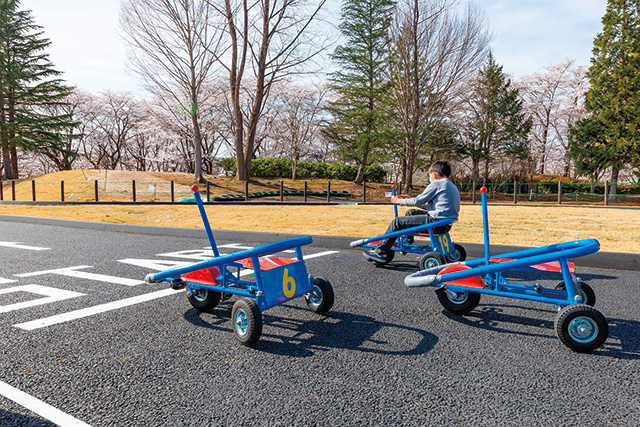 足こぎカート/国営みちのく杜の湖畔公園 南地区(宮城県/川崎町)