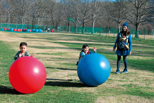 巨大ボール/国営みちのく杜の湖畔公園 南地区(宮城県/川崎町)