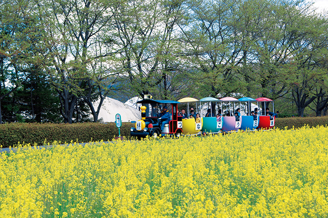 シカボートレイン/国営みちのく杜の湖畔公園 南地区(宮城県/川崎町)