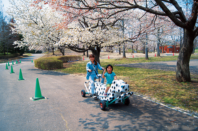 かわいい変形自転車/国営みちのく杜の湖畔公園 南地区(宮城県/川崎町)
