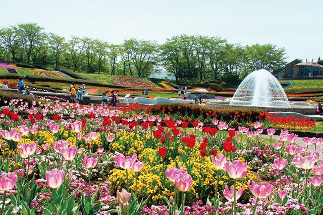 きれいな花が咲くガーデン/国営みちのく杜の湖畔公園 南地区(宮城県/川崎町)