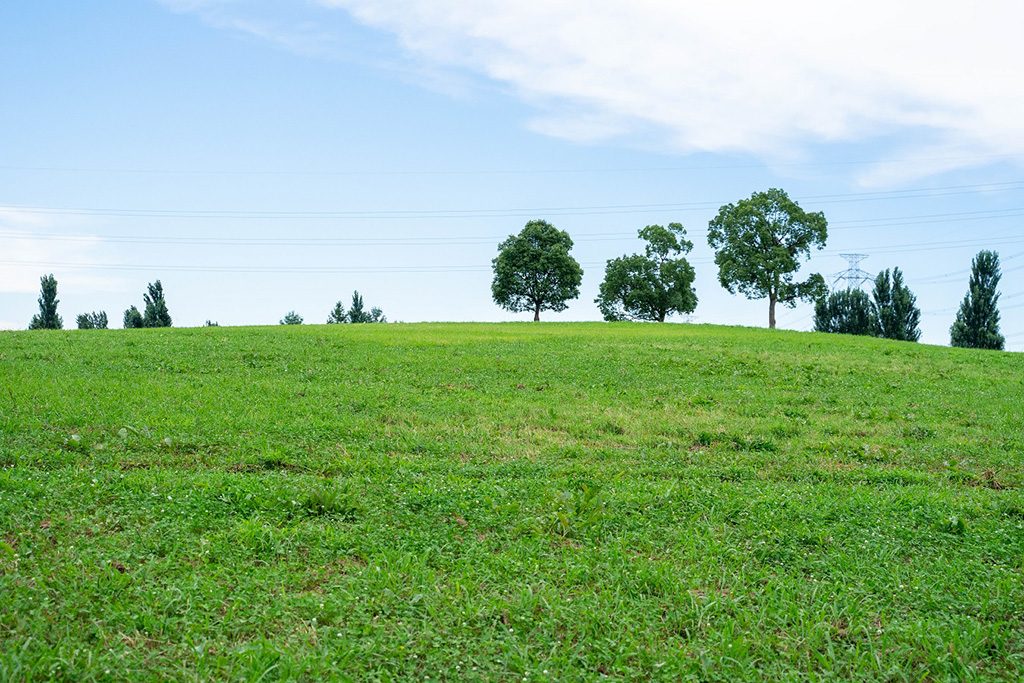 展望広場/山田池公園(大阪府/枚方市)