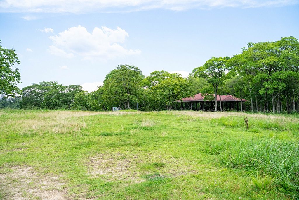 展望広場/山田池公園(大阪府/枚方市)