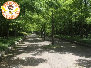 神戸市立森林植物園(神戸市北区)は、広大な芝生や遊具で思いっきり遊べる!