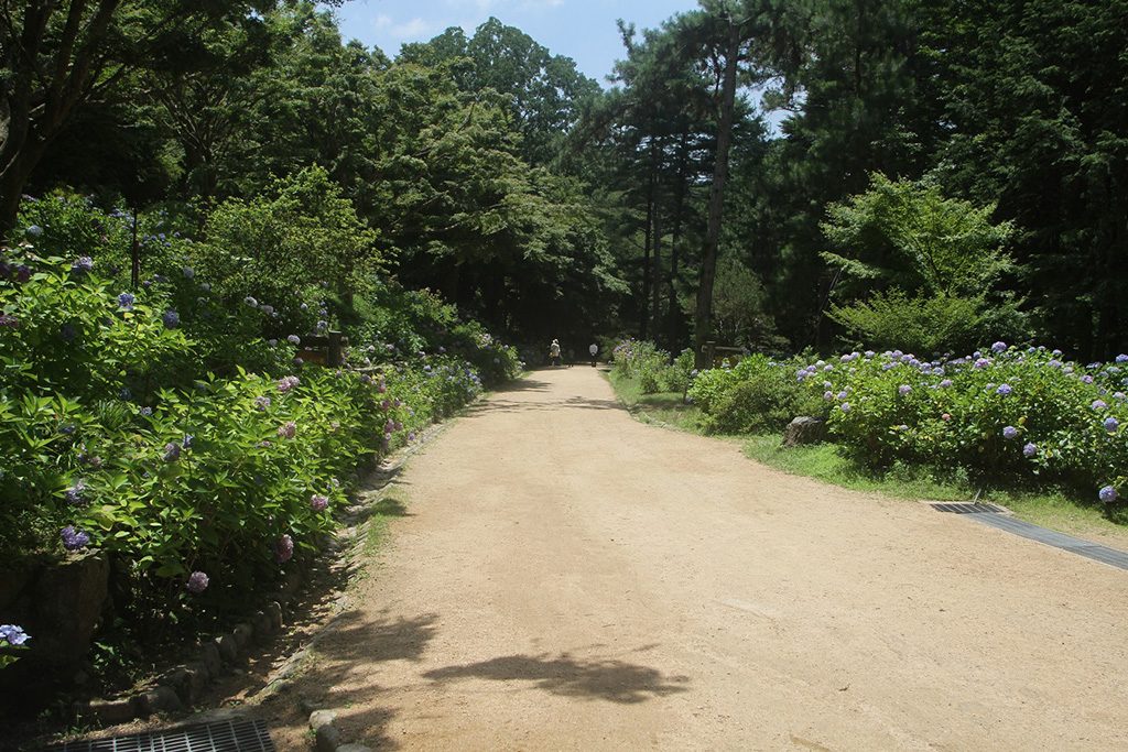 神戸市立森林植物園（兵庫県/神戸市