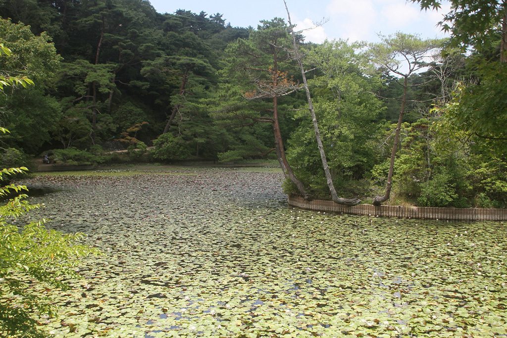 長谷池/神戸市立森林植物園（兵庫県/神戸市