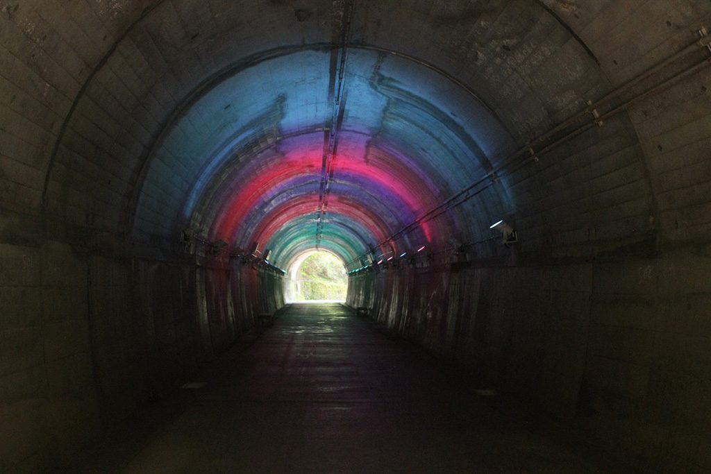 青葉トンネル/神戸市立森林植物園（兵庫県/神戸市