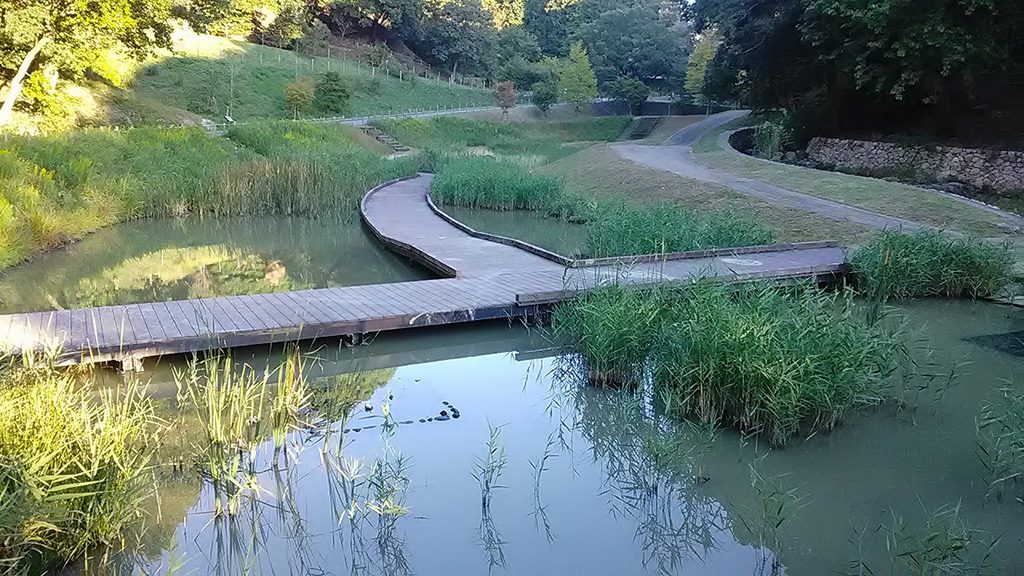 めだか池/あいな里山公園（兵庫県/神戸市）