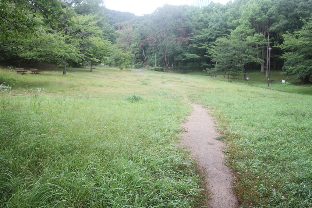 芝生広場/奥須磨公園(兵庫県/神戸市)