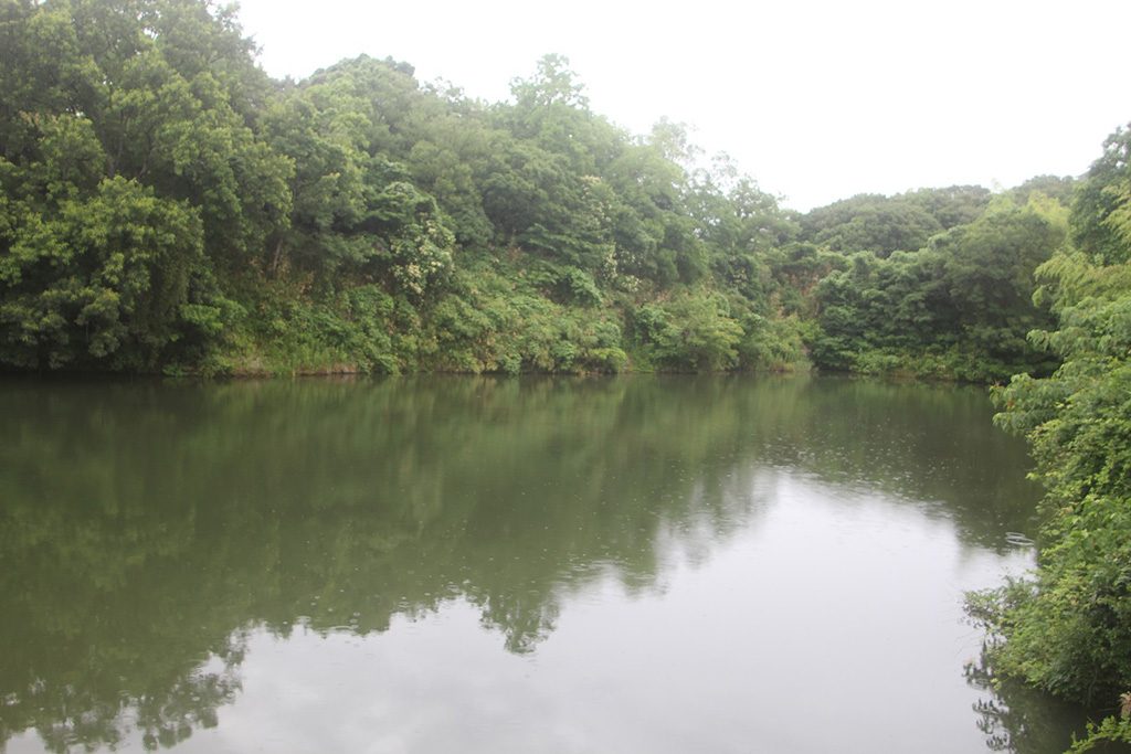 小松池/奥須磨公園(兵庫県/神戸市)