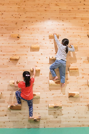 フォレストゾーン「いわのぼり」/木の室内創造あそび場感性の森(宮城県/仙台市)