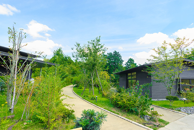 町田薬師池公園 四季彩の杜（東京都/町田市）