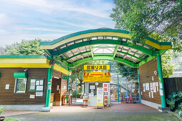 町田リス園（東京都/町田市）