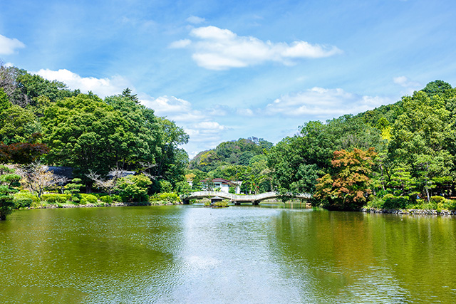 薬師池公園（東京都/町田市）