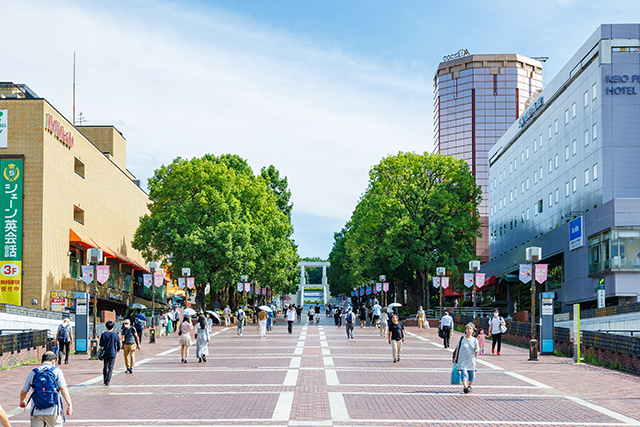 街路樹が美しい遊歩道「パルテノン大通り」（東京都/多摩市）