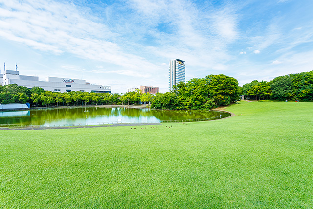 多摩中央公園（東京都/多摩市）